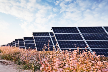 中國華能的“高性價比”光伏電站，妙招在這里！